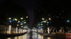 四川远建建筑设计研究院负责人许科是本次自贡