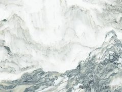 5000名行业人士齐聚一堂